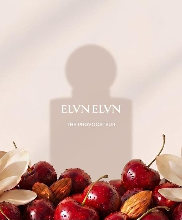 THE PROVOCATEUR